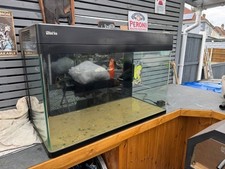 Red sea 250 for sale  DERBY