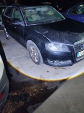 Sin ref musata usato  Ferrara