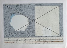Angelo cagnone usato  Nettuno
