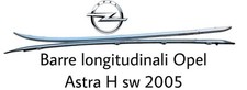 Barre longitudinali tetto usato  Italia