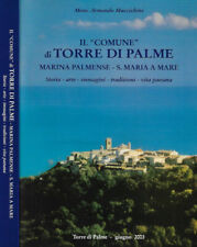 Comune torre palme usato  Italia