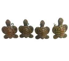 Lot brown turtle for sale  Mequon