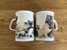 Roy kirkham cat for sale  HUDDERSFIELD