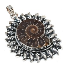 Ammonite fossil gemstone d'occasion  Expédié en Belgium