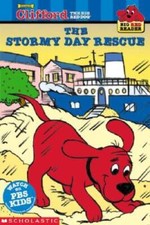Stormy day rescue for sale  Montgomery