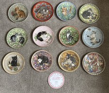 Aynsley meet kittens for sale  BRISTOL