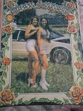 Teen angels magazine for sale  Sparks