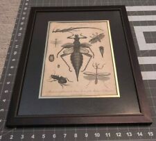 Vintage manticora mantis for sale  Dallas