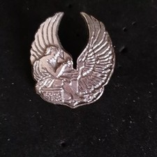 Usaf sac badge usato  Molinella