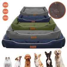 Dog pet cat for sale  WALSALL