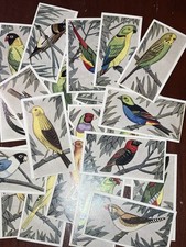 cage and aviary birds for sale  GRANTHAM