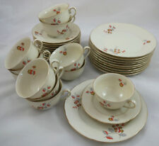 Kaffeeservice beige blumendeko gebraucht kaufen  Neuenkirchen