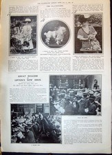Old 1908 poodle for sale  UK