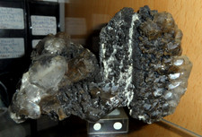 Top hasenohren calcit gebraucht kaufen  Zwönitz