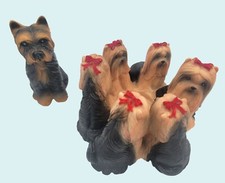 Yorkshire terrier dog for sale  Burkburnett