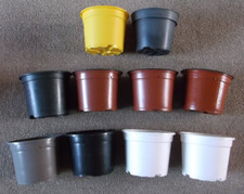 Selection 13cm diameter for sale  LINCOLN