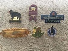 raob pins for sale raob pins for sale SWINDON