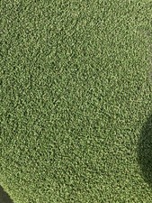 Whole rolls water for sale  HUNTINGDON