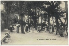 Fouras bois épinettes d'occasion  Mehun-sur-Yèvre