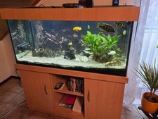 Aquarium kombination zubehör gebraucht kaufen  Höchstenbach, Mörsbach, Steinebach