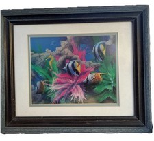 Colorful tropical fish for sale  Napa