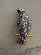 parrot grey african for sale parrot grey african for sale Tucson