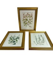 Ikea gold frame for sale  West Chester