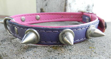 stachelhalsband gebraucht kaufen stachelhalsband gebraucht kaufen Müllrose
