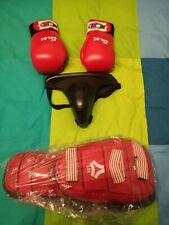 Guantoni boxe conchiglia usato  Desio