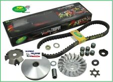 9931670 variatore cinghia usato  Castellammare di Stabia