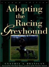 Adopting racing greyhound for sale  UK