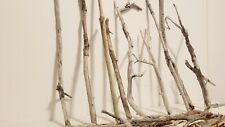 Manzanita driftwood sticks for sale  Augusta