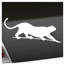 Wildkatze panther leopard gebraucht kaufen  Leipzig
