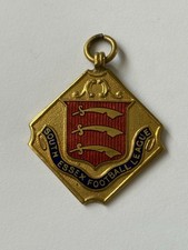 South essex football for sale  BUSHMILLS