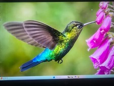 Envy touch intel for sale  Lithia