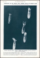 1930 antique print for sale  ASHFORD