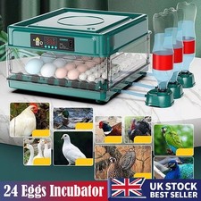 Digital eggs incubator for sale  LEICESTER