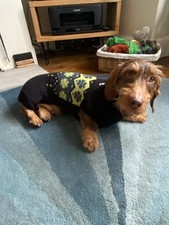 Hurtta dog jumper for sale  WORCESTER