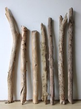 Treibholz schwemmholz driftwoo gebraucht kaufen  Halblech
