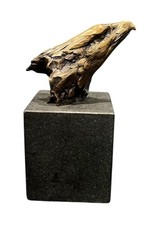 Sandy scott bronze for sale  Renton