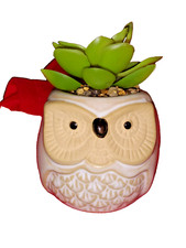 Owl succulent pot for sale  Jesup