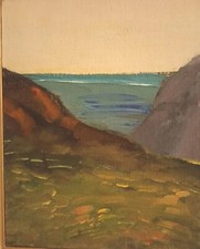 Aldo borgonzoni mare usato  Malalbergo