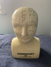 Phrenology head l.n. for sale  BROSELEY
