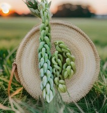 affenschaukel gebraucht kaufen  Lünen