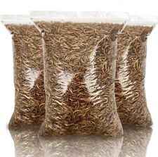 Dried mealworms premium for sale  RUGELEY