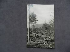 Vintage postcard tea for sale  NOTTINGHAM