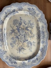 Blue white asiatic for sale  WARRINGTON