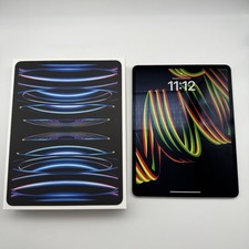 ipad pro 12 9 256 gb usato  Verdellino