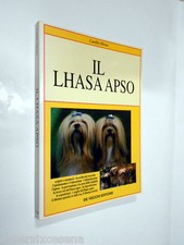 Lhasa apso olivier usato  Italia