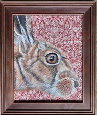 Original wildlife hare for sale  CHELMSFORD